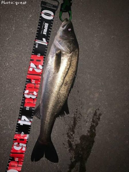 �����Х�