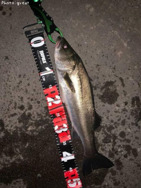 �����Х�