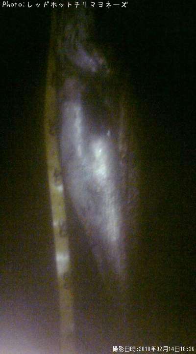 �����Х�