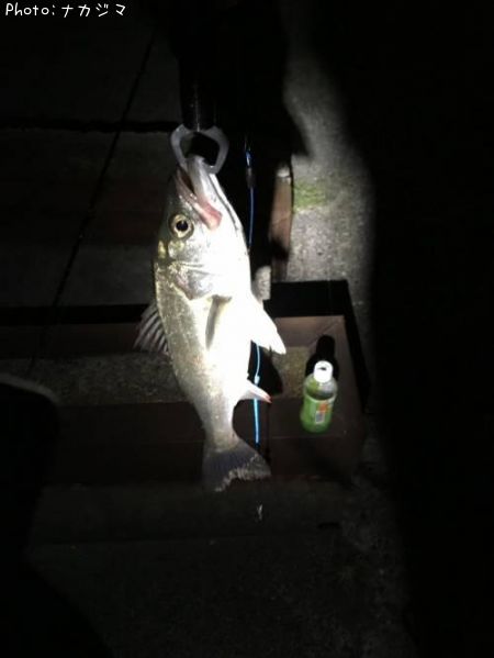 �����Х�