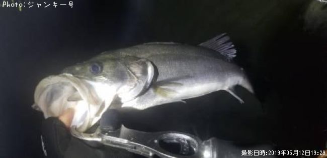 �����Х�