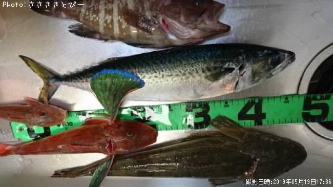 ���С��ޥ������ۥ��ܥ����ޥϥ������Хե�������