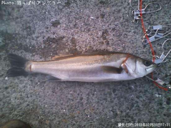 �����Х�