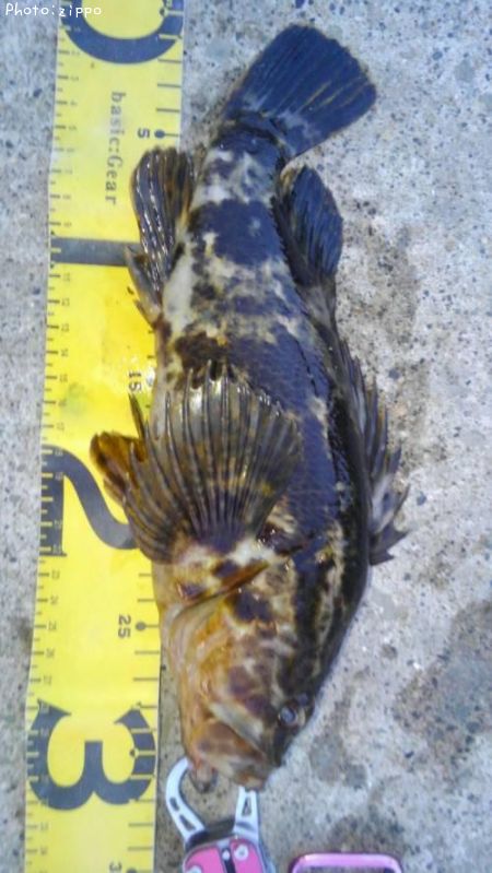 �����Υ���Х�