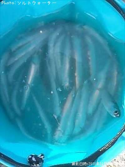 �����������亮