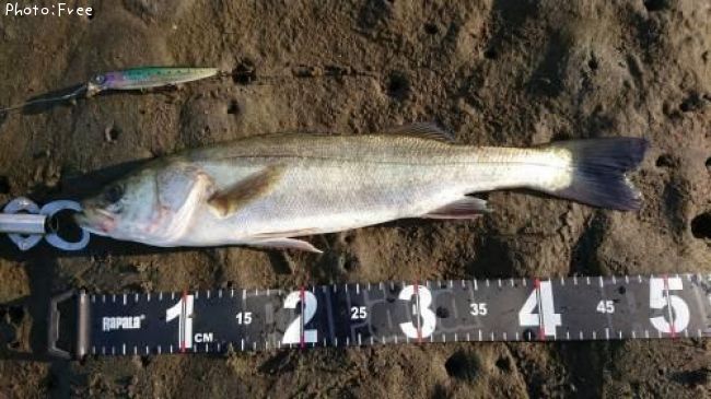 �����Х�