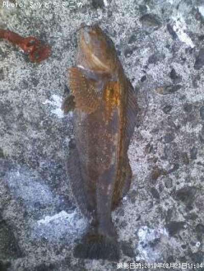 �����ʥ�