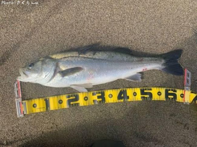 �����Х�