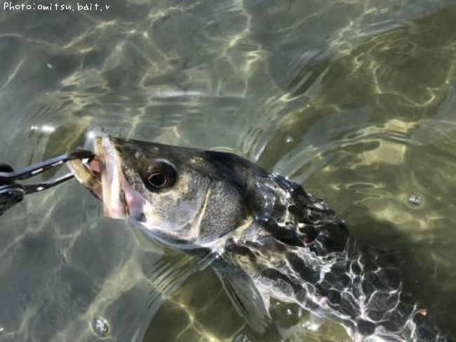 �����Х�