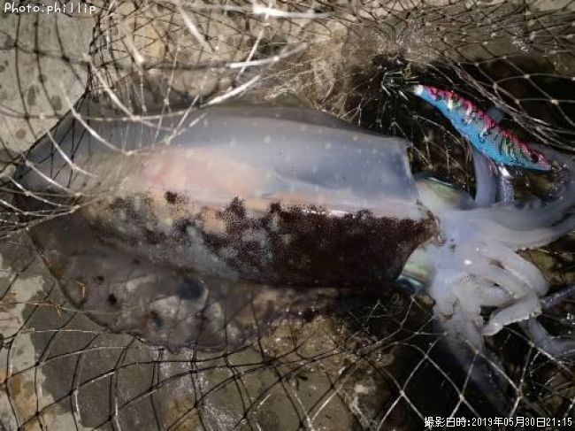 �����ꥤ��