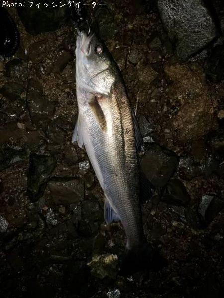 �����Х�