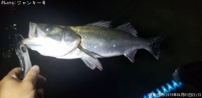 �����Х�