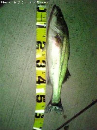 �����Х�