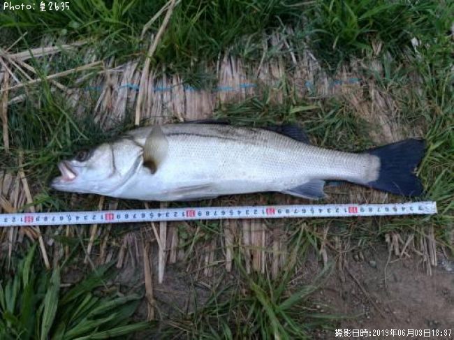 �����Х�