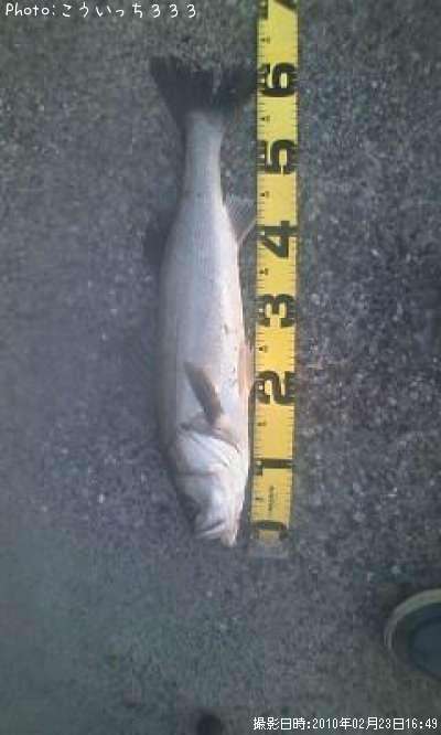 �����Х�