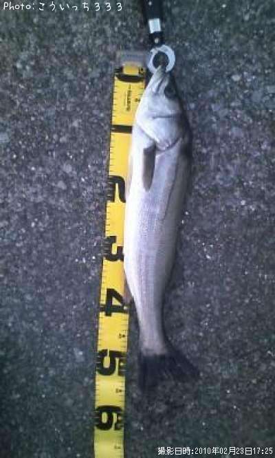 �����Х�