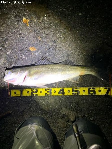 �����Х�