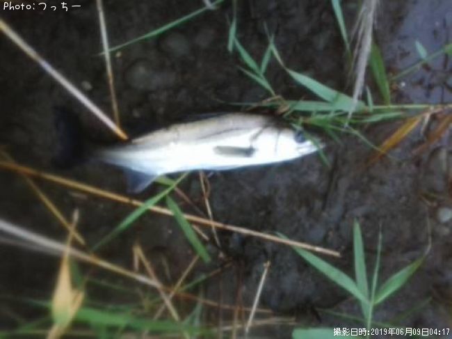 �����Х�