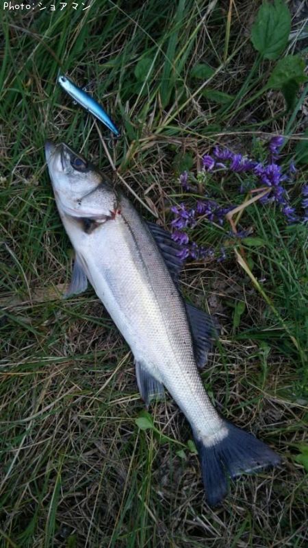 �����Х�