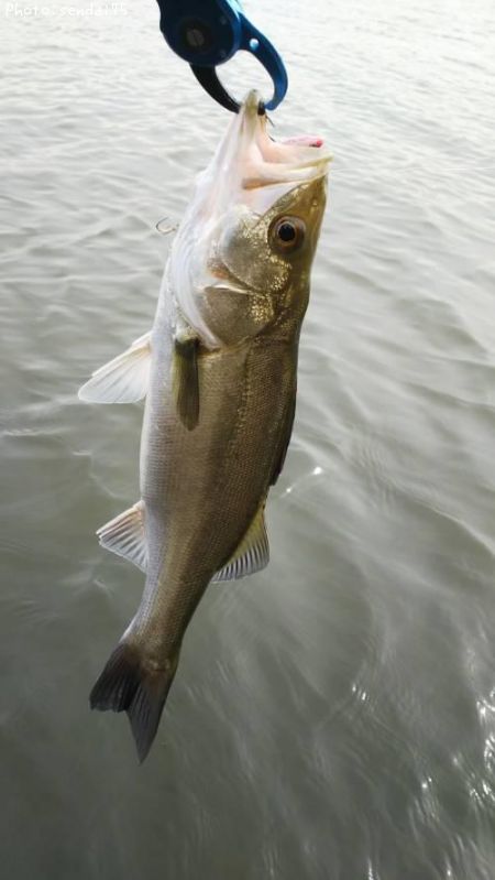 �����Х�