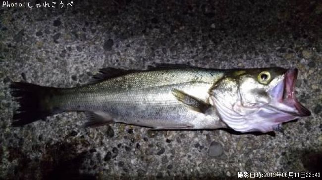 �����Х�