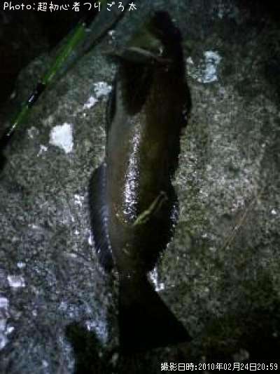 �����ʥ�