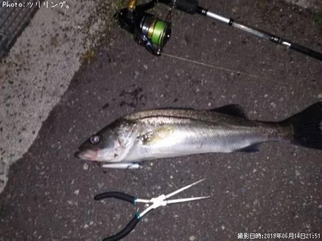 �����Х�