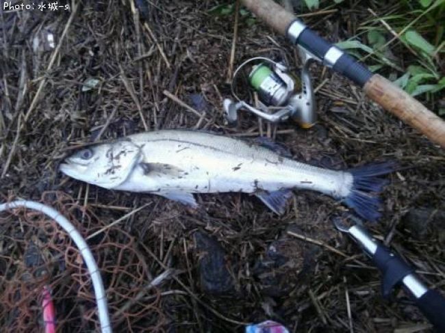 �����Х�