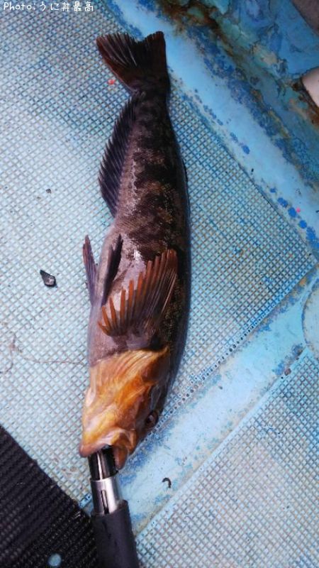 �����ʥ�