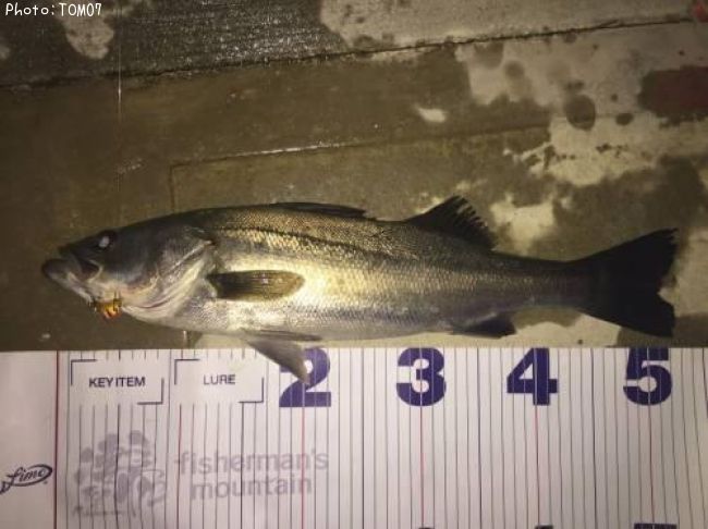 �����Х�