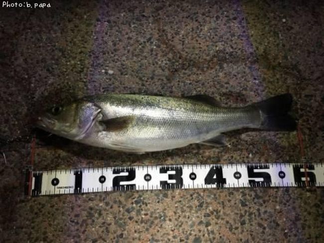 �����Х�