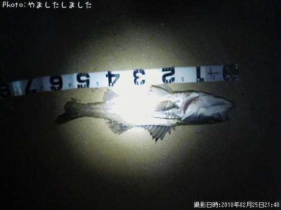 �����Х�