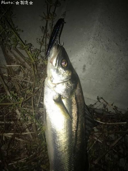 �����Х�