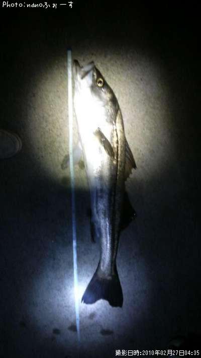 �����Х�