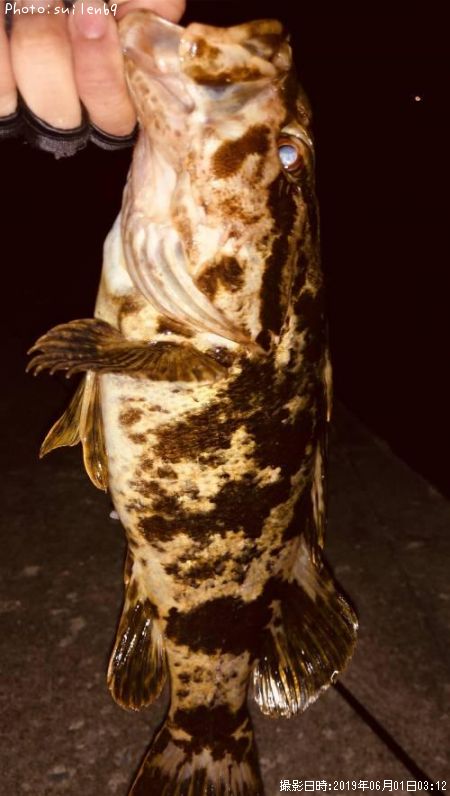 �٥å�������