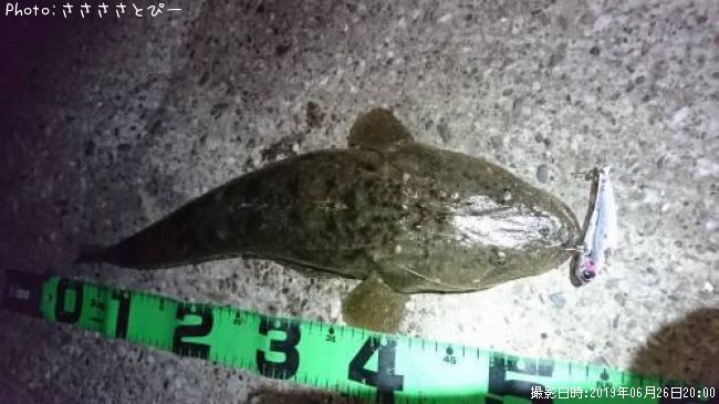 �ޥ������勵�ꥬ��