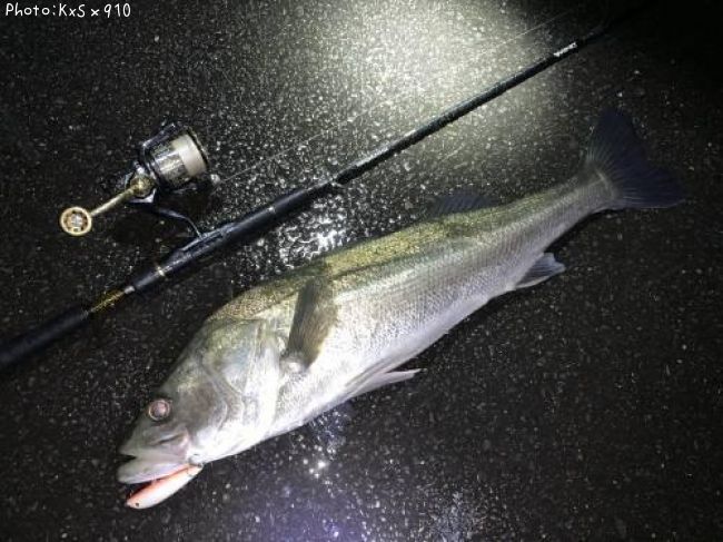 �����Х�