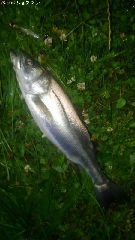 �����Х�