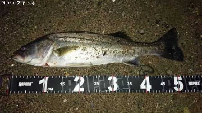 �����Х�