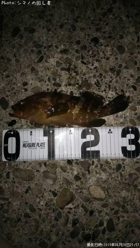 �����ϥ�