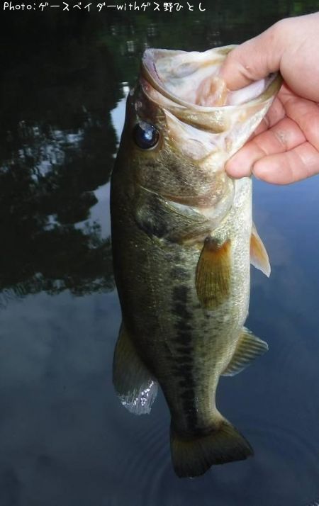 �֥�å��Х�