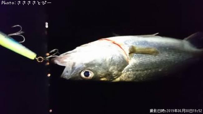 �����Х�