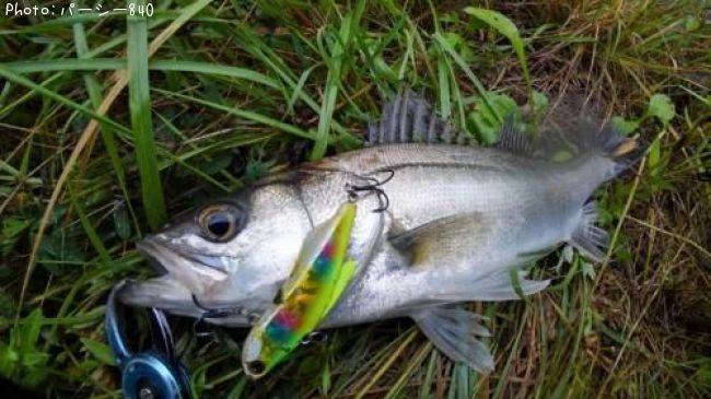 �����Х�