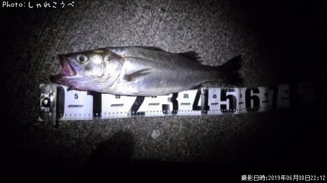 �����Х�