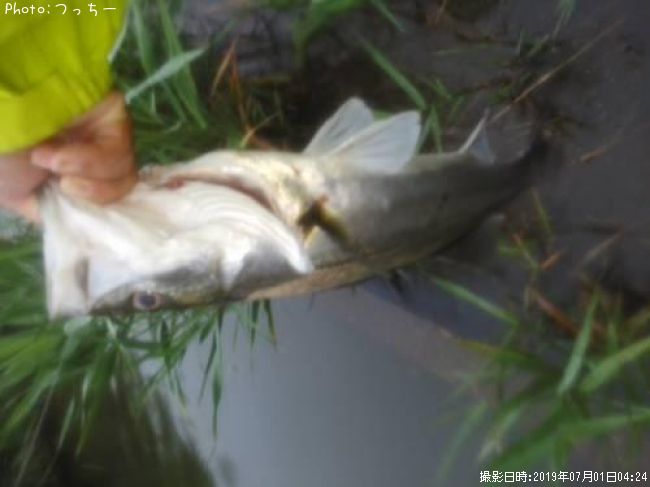 �����Х�