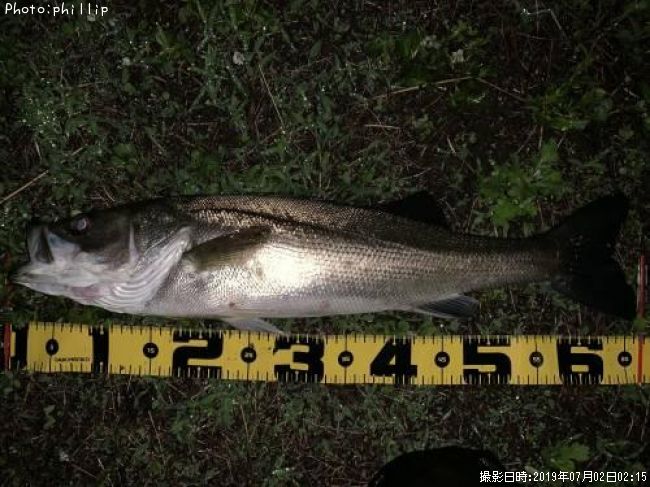 �����Х�