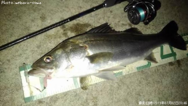 �����Х�