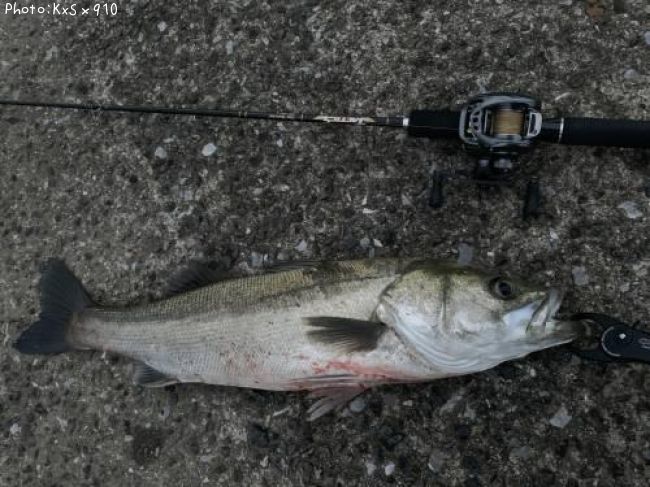 �����Х�