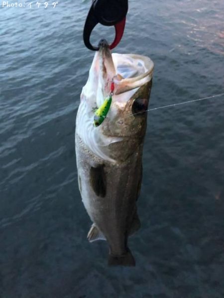 �����Х�