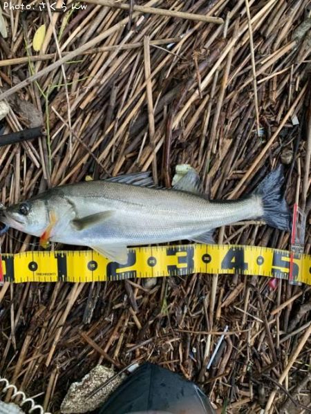 �����Х�